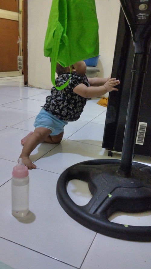 bayi 8 bulan 10 hari