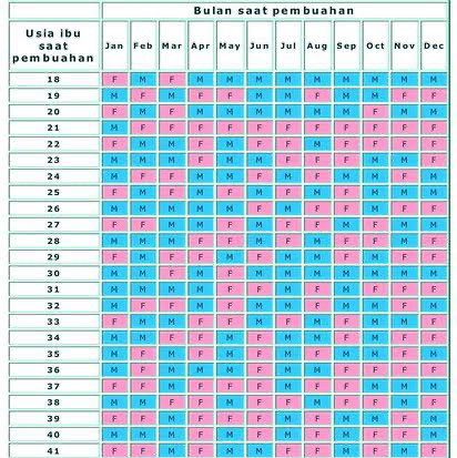 kalender china penentu jk