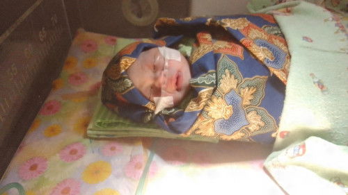 HPL 11 Juni lahir 3 Juni