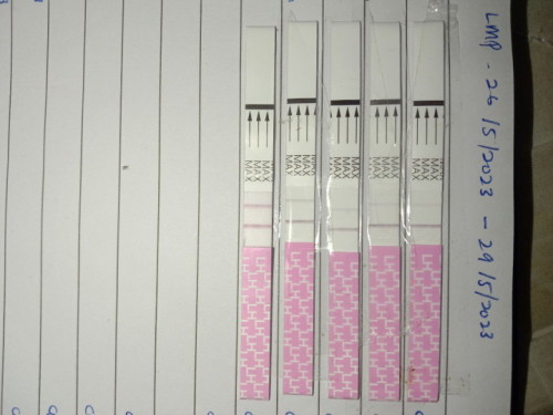 OPK makin terang