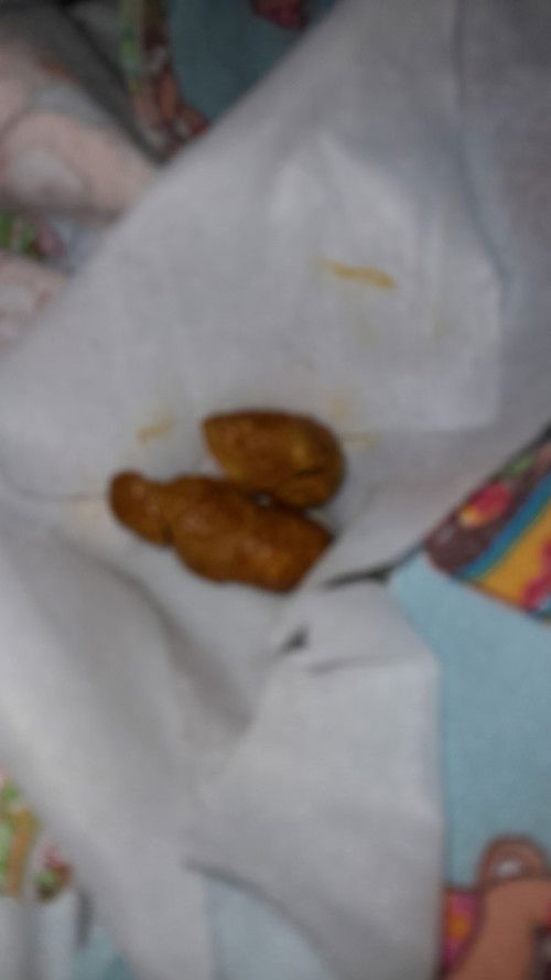 Pup bayi 2bln 15hari padet