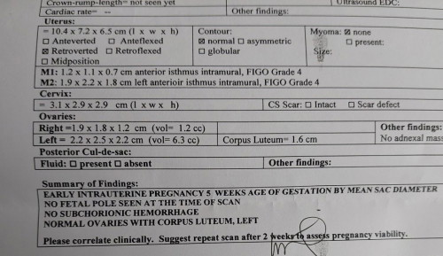 11 weeks no baby