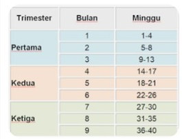 yang bener pake hitungan mana ? kalo mau tujuh bulanan berarti harus masuk berapa minggu ?