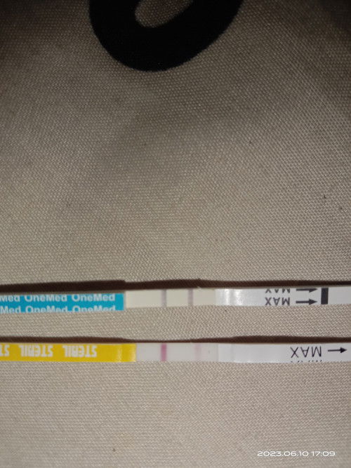 𝙗𝙪𝙣𝙙 𝙮𝙜 𝙗𝙞𝙧𝙪 𝙩𝙥 𝙥𝙧𝙩𝙢𝙖 𝙮𝙜 𝙠𝙪𝙣𝙞𝙣𝙜 𝙩𝙥 𝙩𝙖𝙙𝙞. 𝙠𝙤 𝙟𝙙 𝙨𝙖𝙢𝙖𝙧 𝙮𝙖