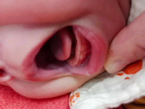 ดอกไม้กำลังบาน🌸