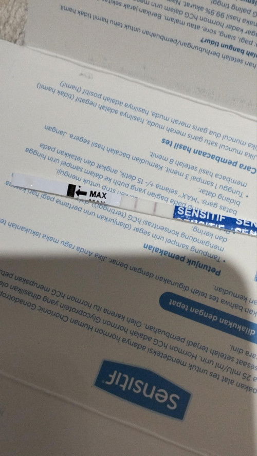 Satu bulan pasca keguguran hamil kembali