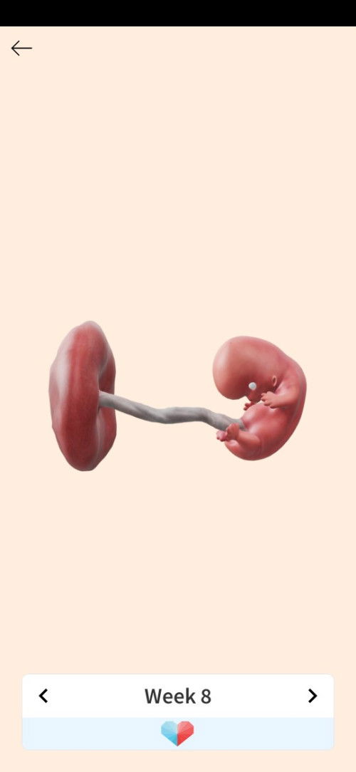 Karna haid ga lancar