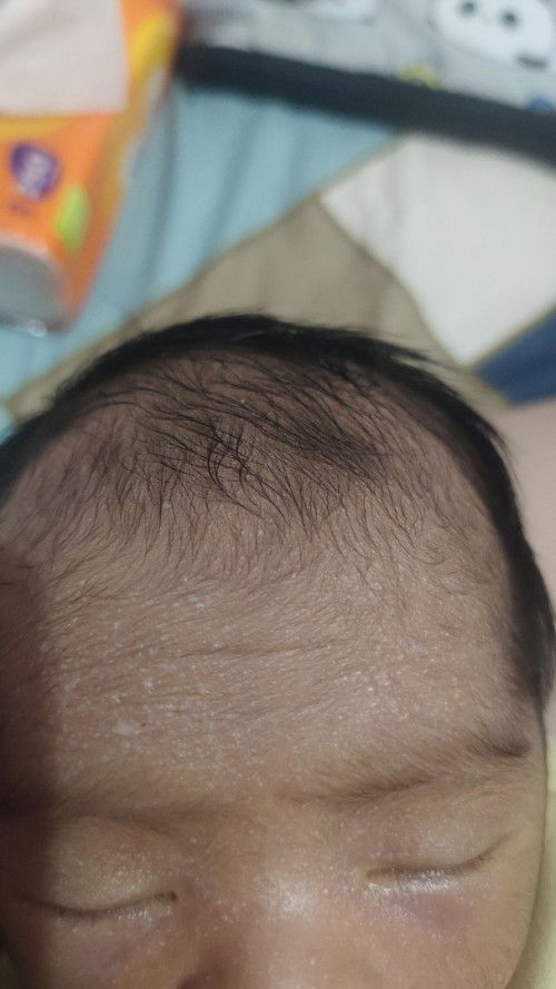 Tolong bantu jawab dong bun