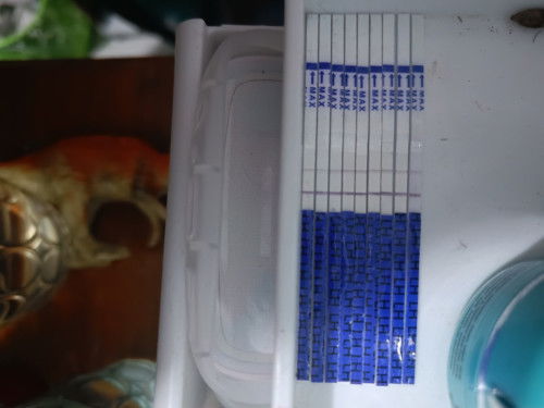 Cara membaca hasil tes ovulasi