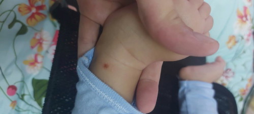 Biji apa ni ye ? #bayi 4 bulan lebih
