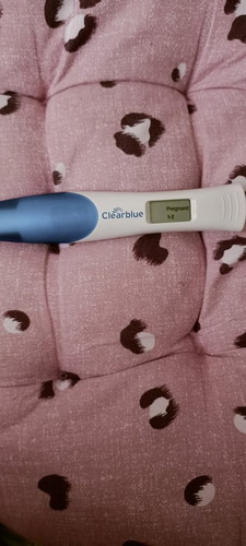 Pregnant/Tidak