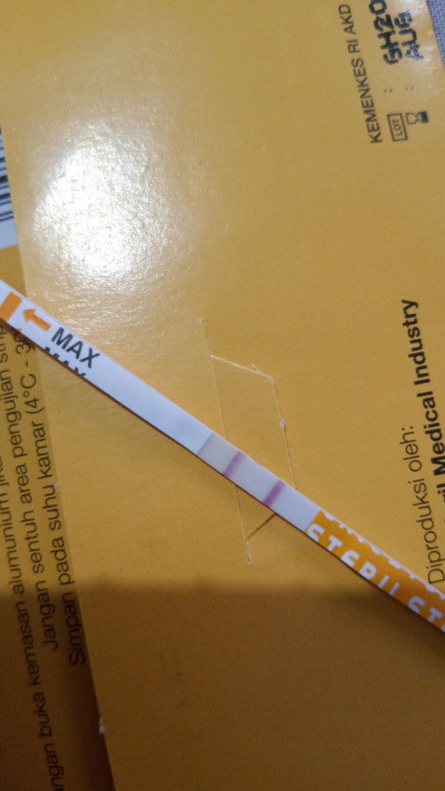 Beneran hamil ga sih bund ?