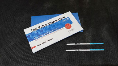 Apakah hamil Trimester 1 berasa kya nggak hamil?