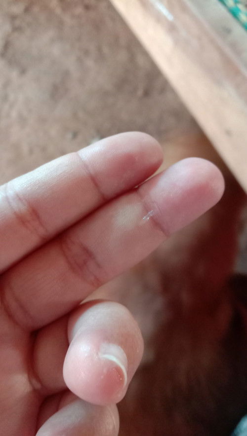 ถามแม่ๆที่รู้หน่อยค่า