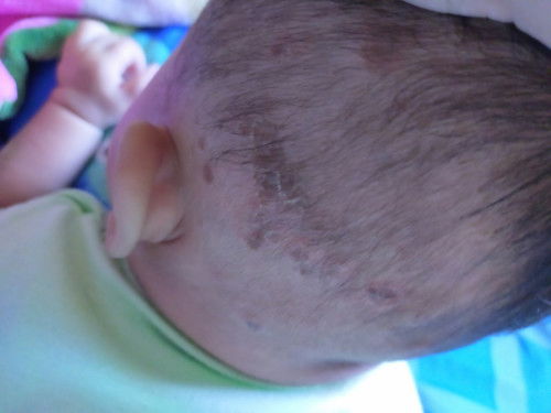 Bun mau tanya dong 🥺