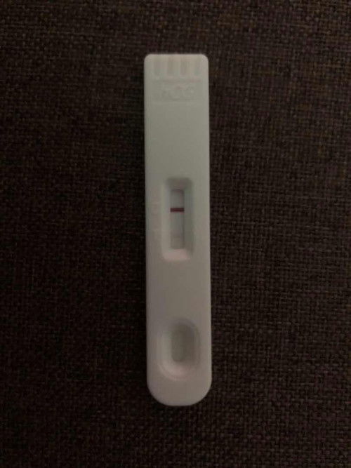 Pregnancy Test