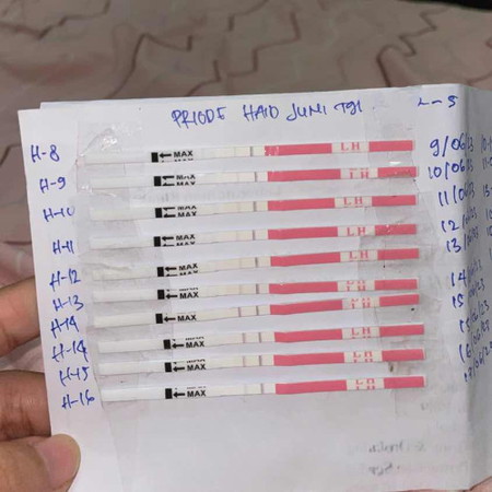 Promil pakai ovuluasi test