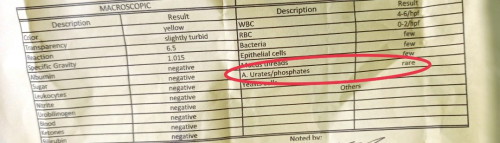 urinalysis results