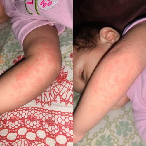 Seperti biang keringat