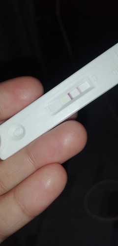 Pregnancy test