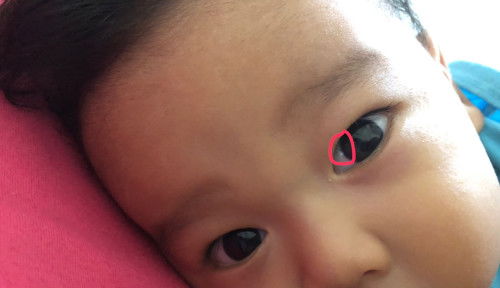 seperti ada cahaya di mata bayi