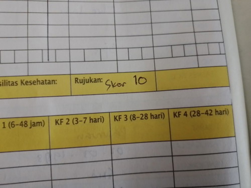 Skor 10 pada periksa kehamilan maksudnya apa yah bunnnn???