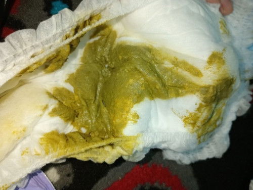 Pup bayi 4 bulan full sufor