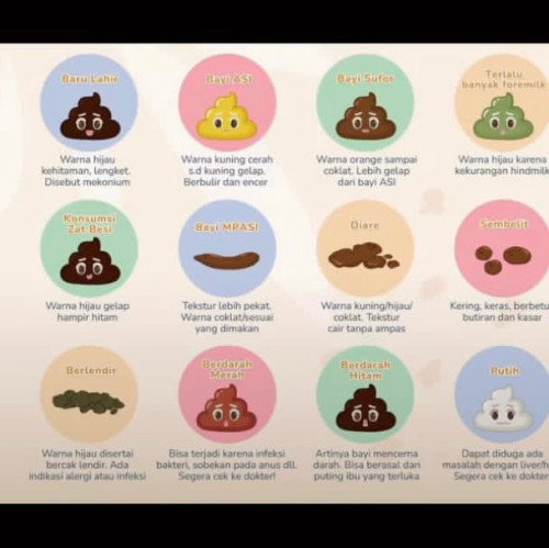 Warna pup bagi