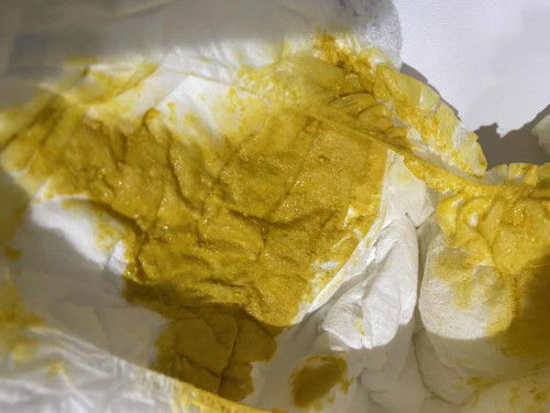 pup bayi yg bentar lagi umur sebulan