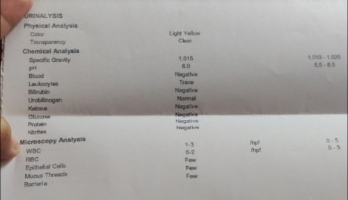 Normal urinalysis?