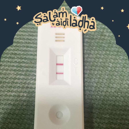 Kenal pasti pregnant atau tidak