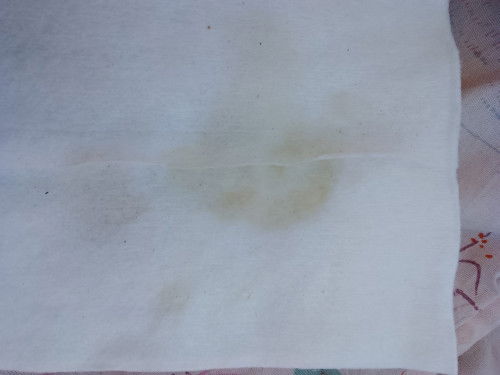 กำหนด7 กรกฎาคม