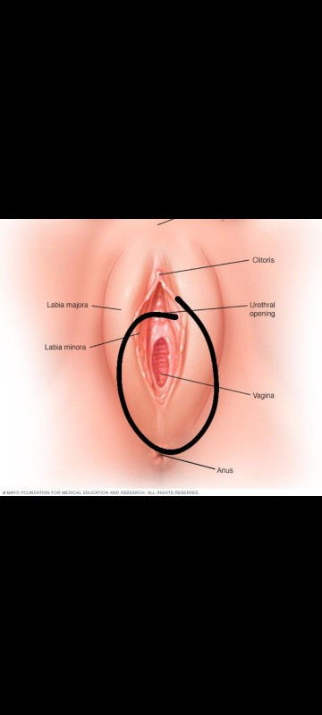 sakit bahagian bawah