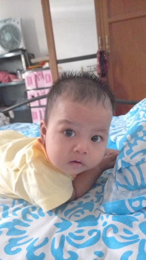 Bayi 6 bulan