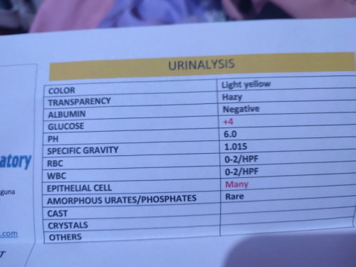 Urinalysis Result