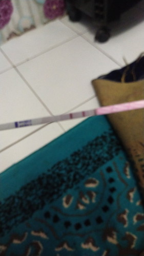 hamil kah tp g ada tanda tanda