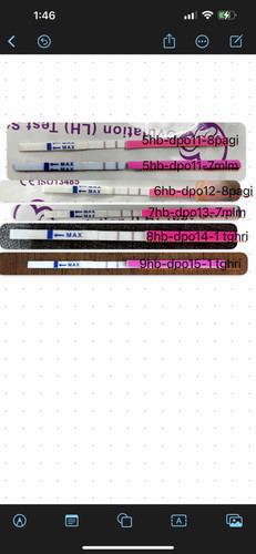 Ovulation test positive