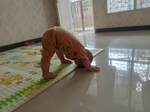 Bayi 8 bulan suka nungging