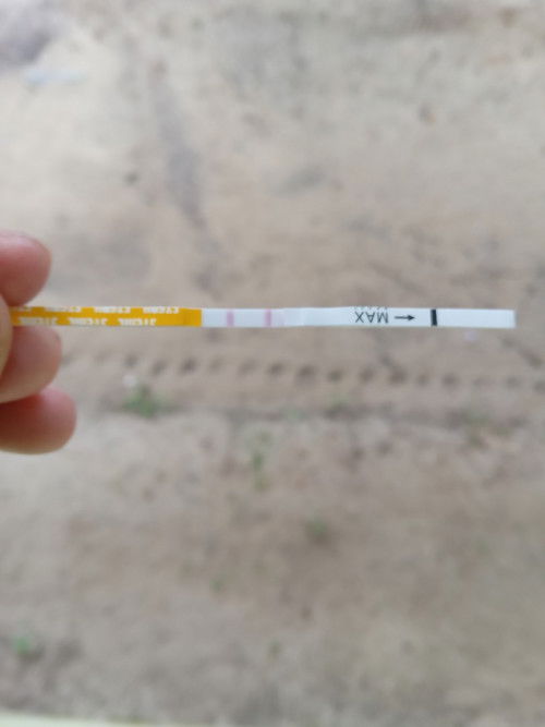 Hamil / ga ? Tapi udah masuk aja ke aplikasi ini 🤭