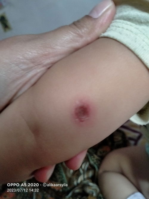 Kata orangtua suledan