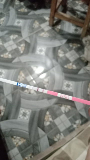 Alhamdulillah dikasih kepercayaan sama Allah🥺. mau tanya bund kehamilan tm1 hrs mnum vit & susu ap?