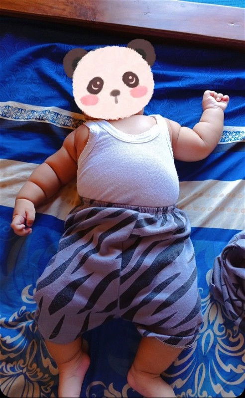 Bayi Asi Ekslusif apa bisa Obesitas?