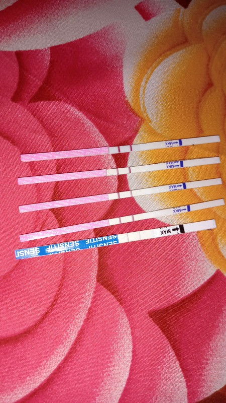 Tas pack positif, tapi USG belum kelihatan tanda kehamilan