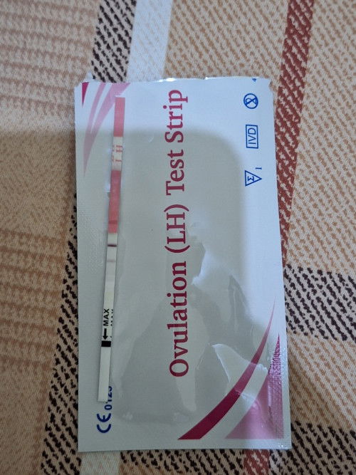 Cara liat hasil ovutest