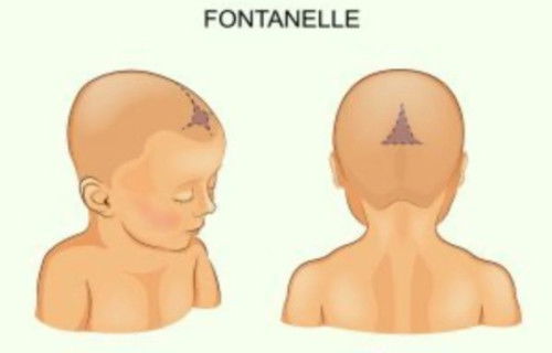 Lekuk di kepala pada bayi 18 bulan