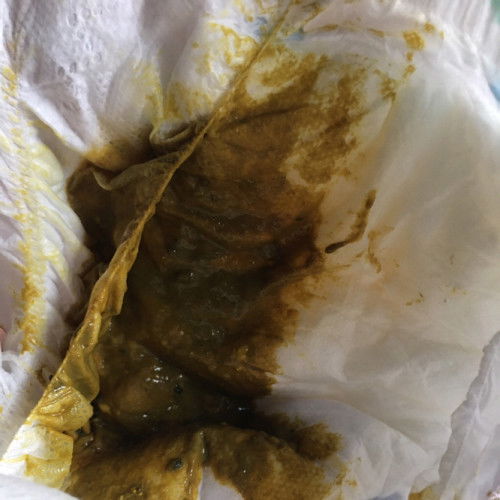 ingin tahu #firstmom