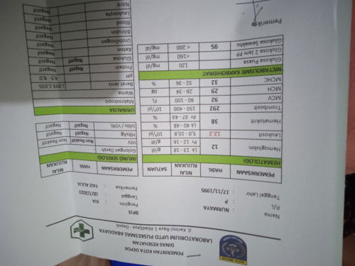 Check lab ternyata ada leokosit yg cukup tinggi, apa ada yg pernah? Kandungan saya Usia 18week