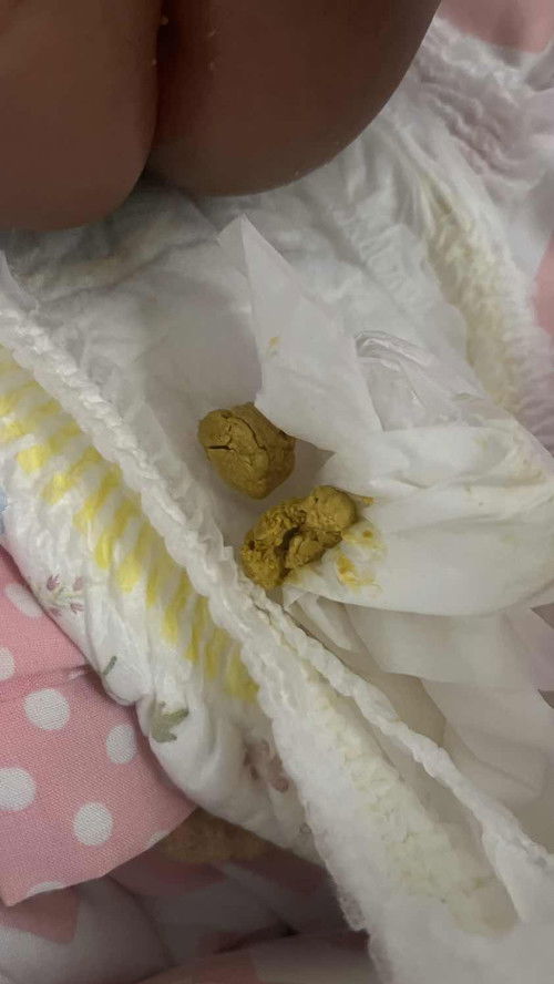 bayi 2bln full asi BAB keras