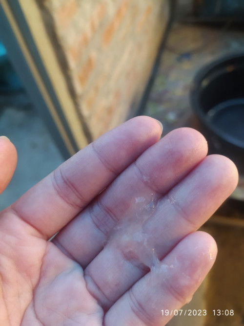 Kenamilan 39 minggu 1 hari baru ngrasain konpal dan keluar lendir seperti ingus itu kenapa ya bunda2