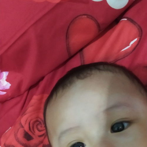 Putih melebar pada wajah bayu